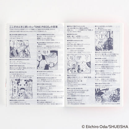 2025 One Piece Edition Hobonichi Techo Japanese Original Book (January Start)