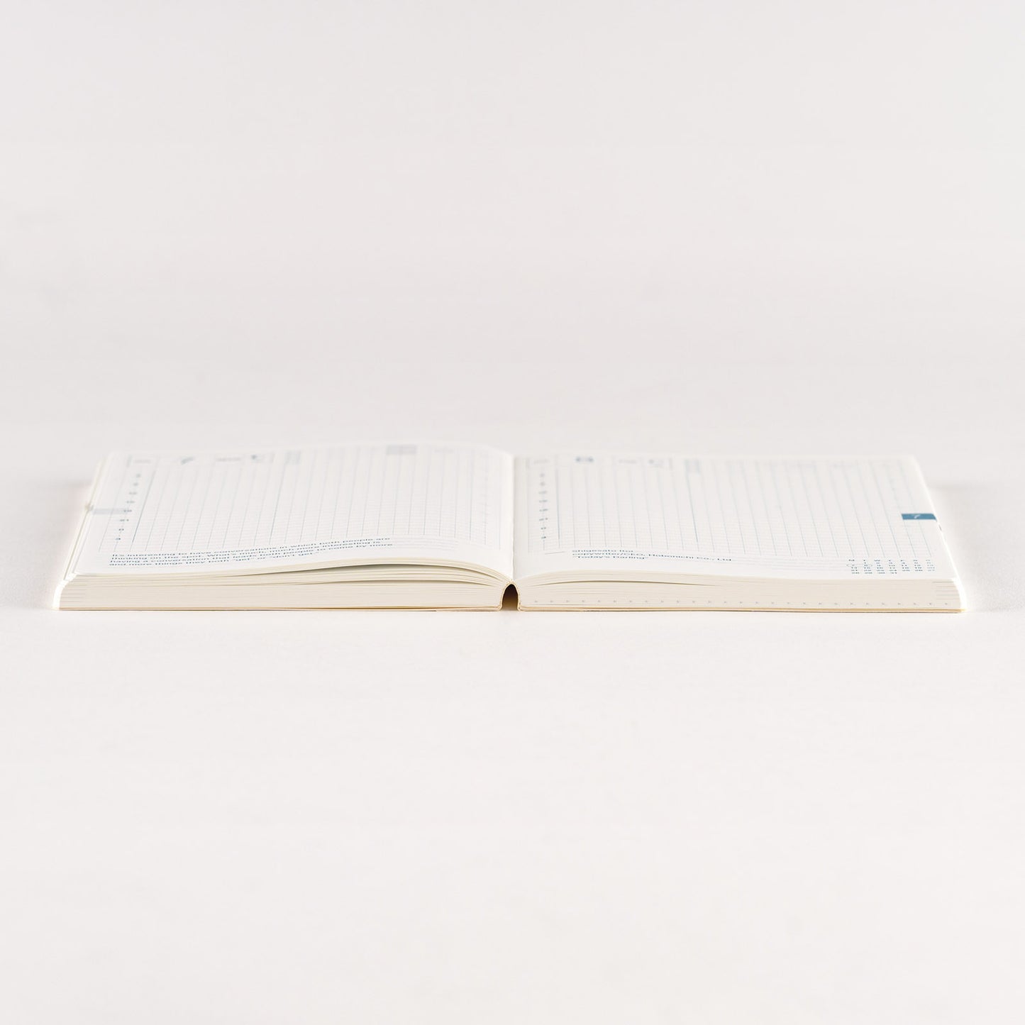 2025 Hobonichi Techo English Original Book (January Start)