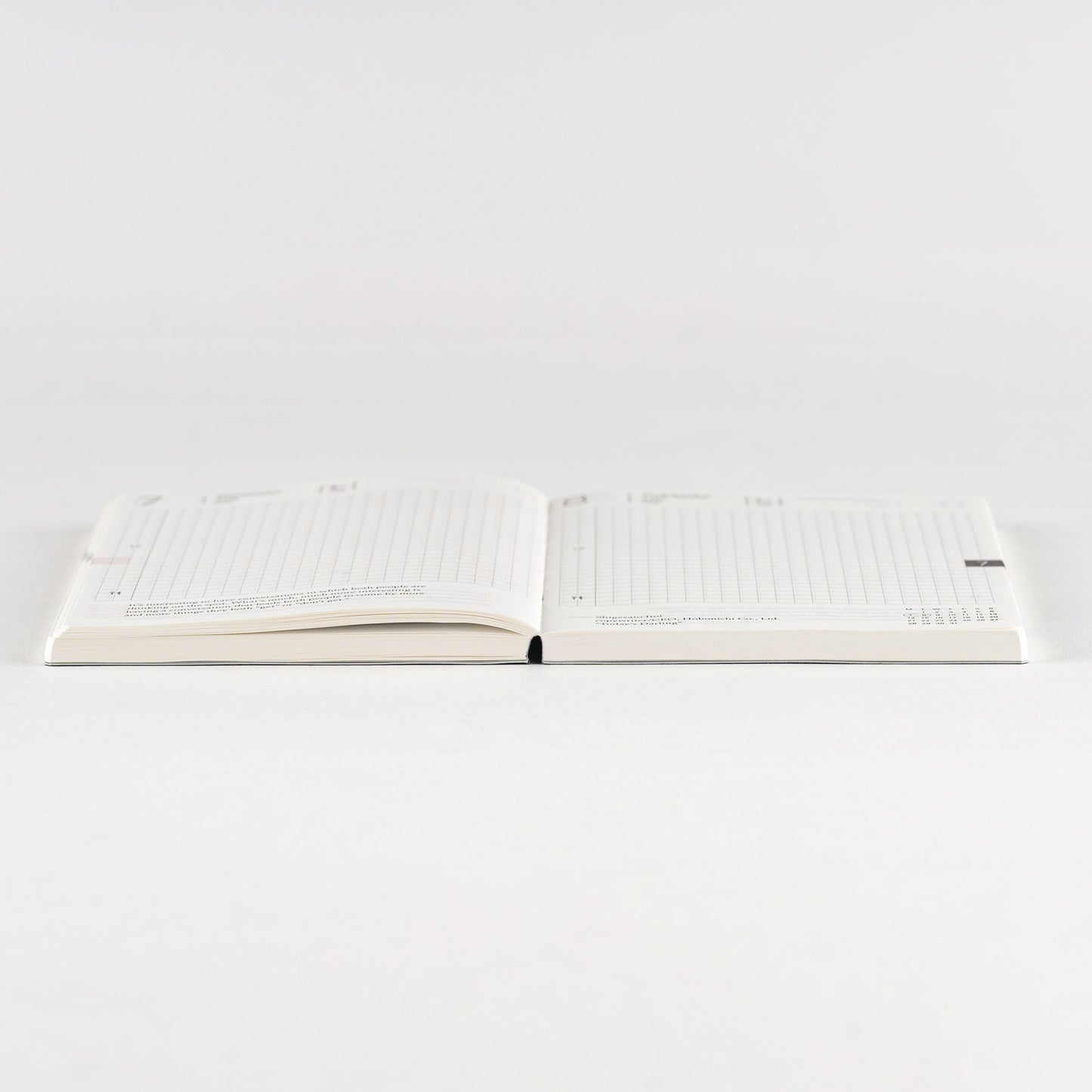 2025 Hobonichi Techo English Planner Book (January Start)