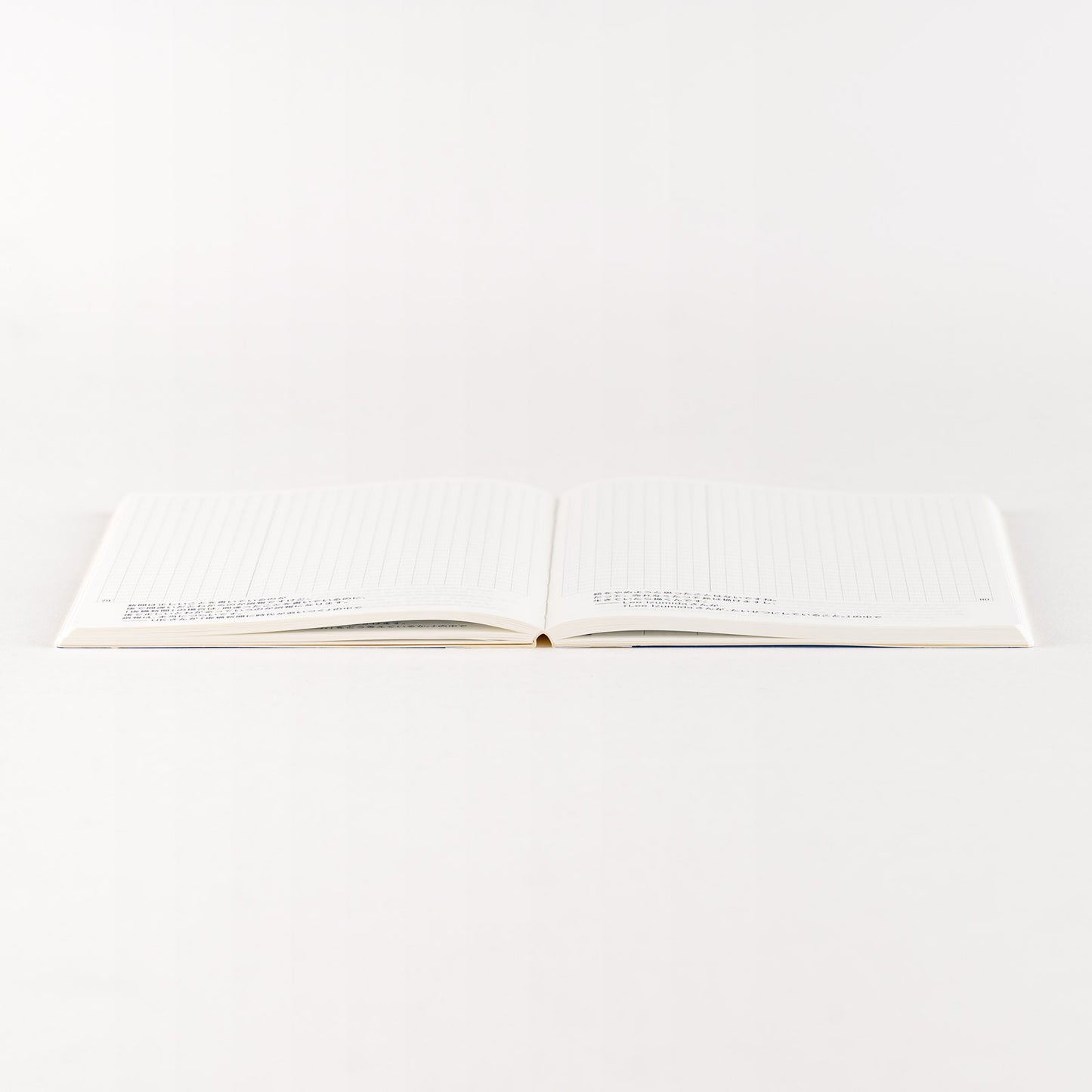 2025 Hobonichi Techo Day-Free Book A6 Size