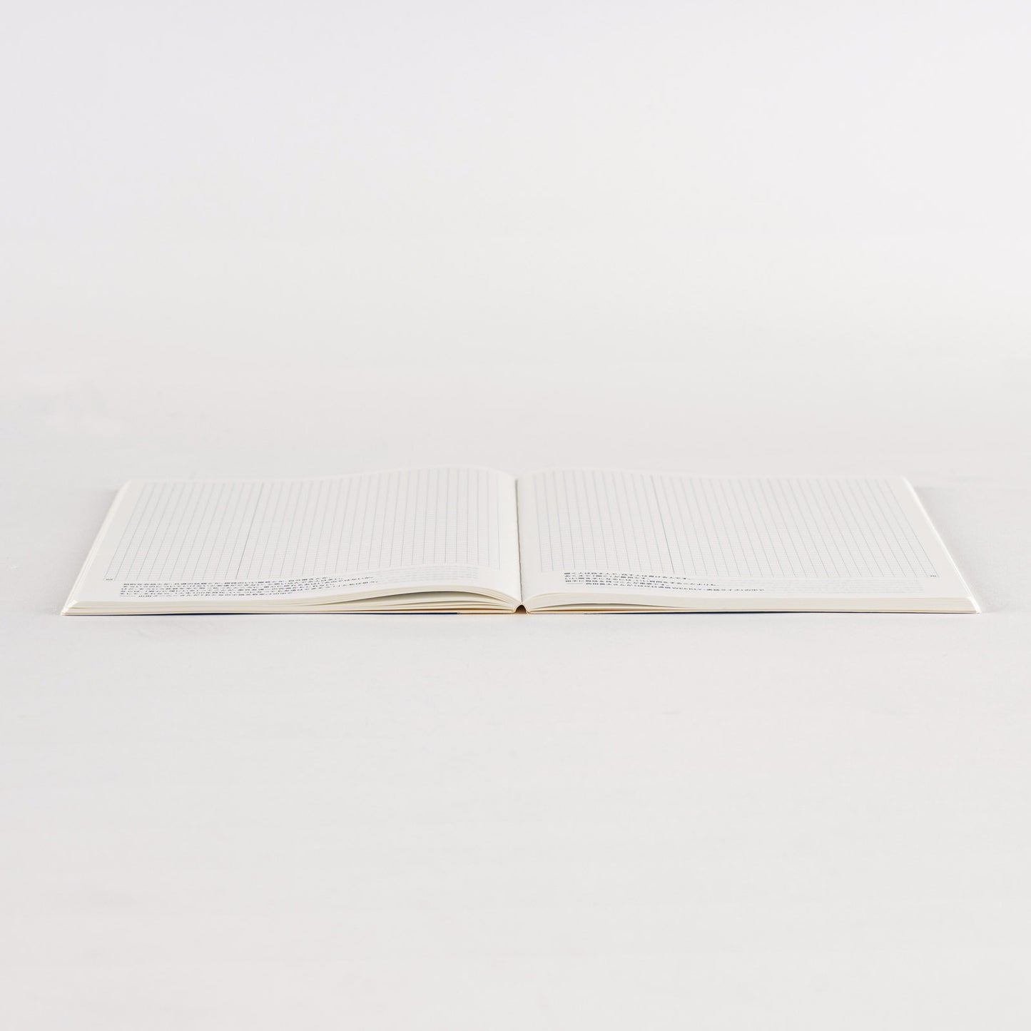 2025 Hobonichi Techo Day-Free Book A5 Size