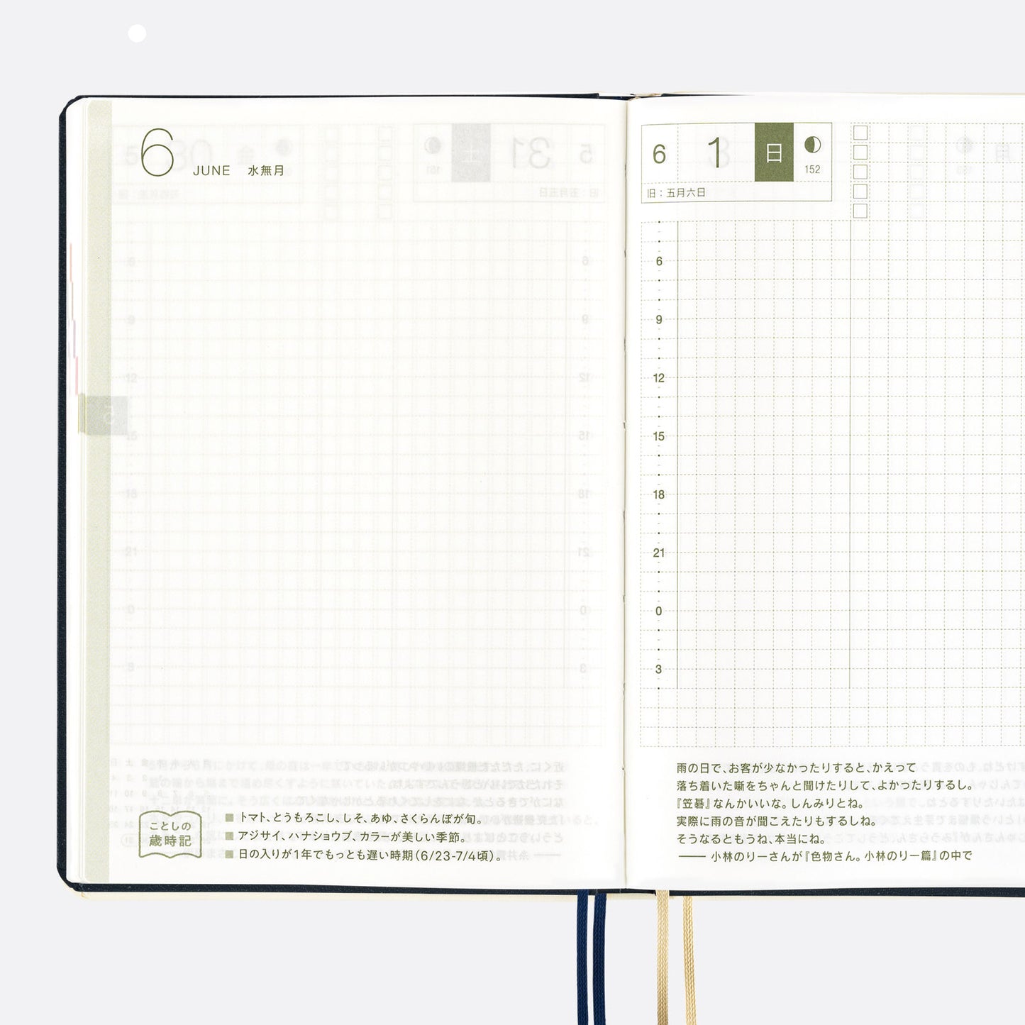 Slash (Navy) · 2025 English Hobonichi Techo A6 HON