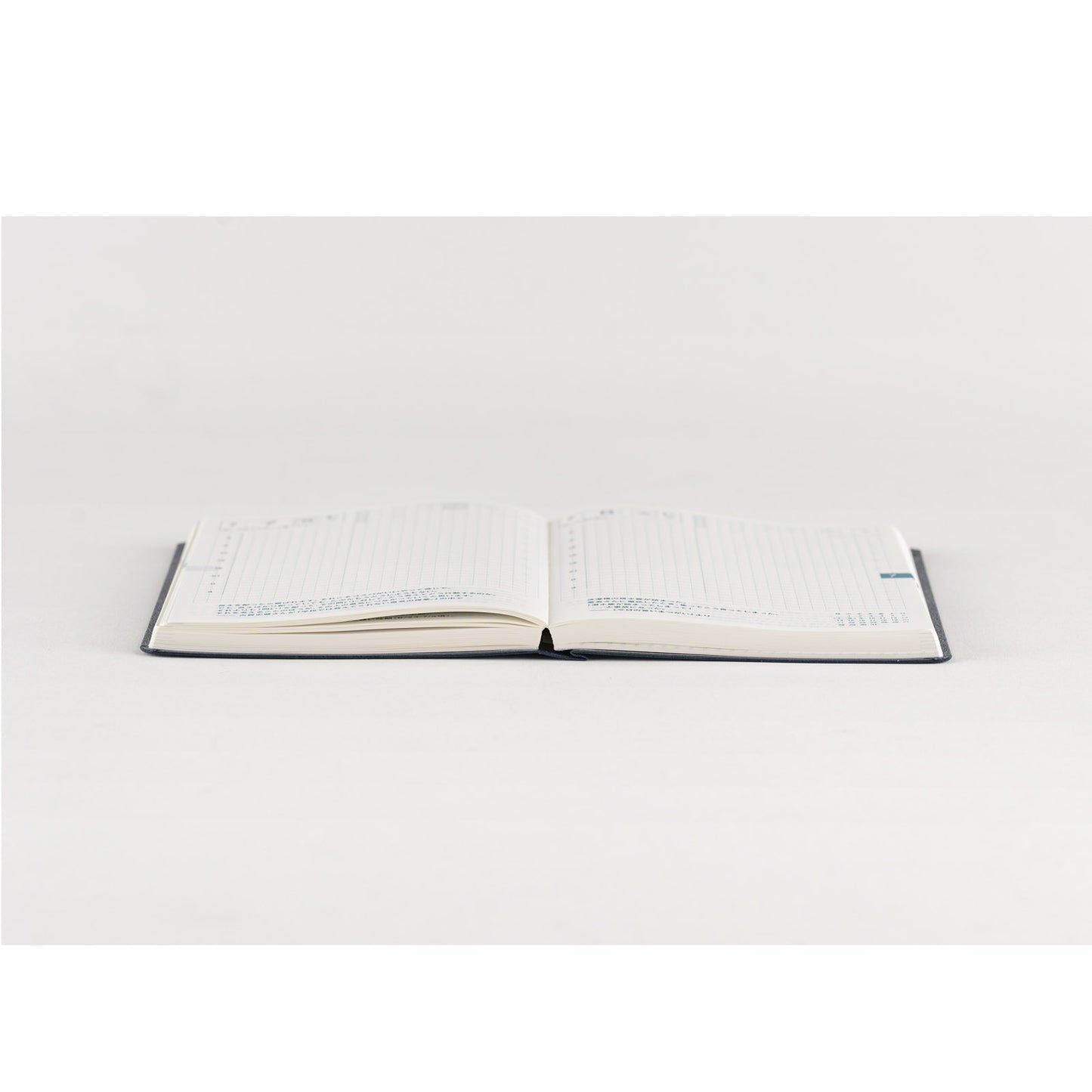 Slash (Ivory) · 2025 English Hobonichi Techo A6 HON