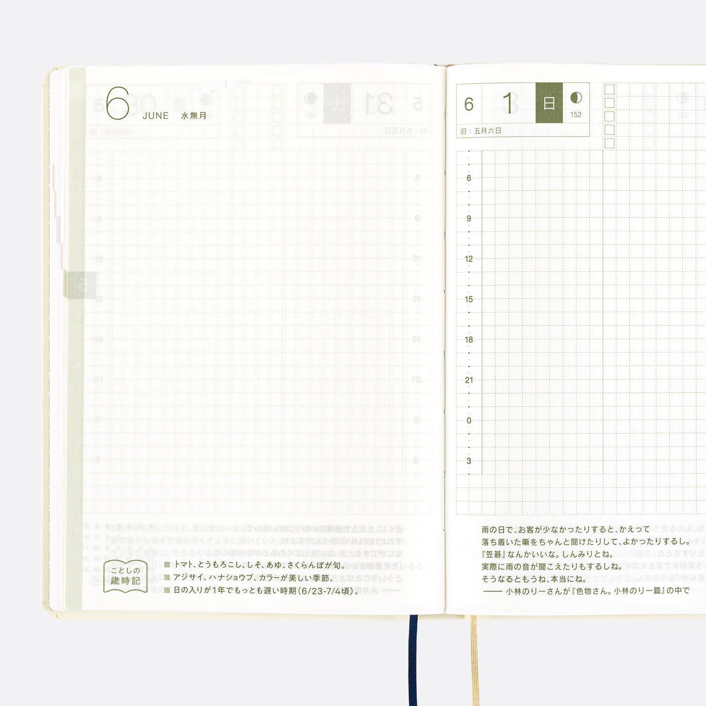 Slash (Ivory) · 2025 English Hobonichi Techo A6 HON