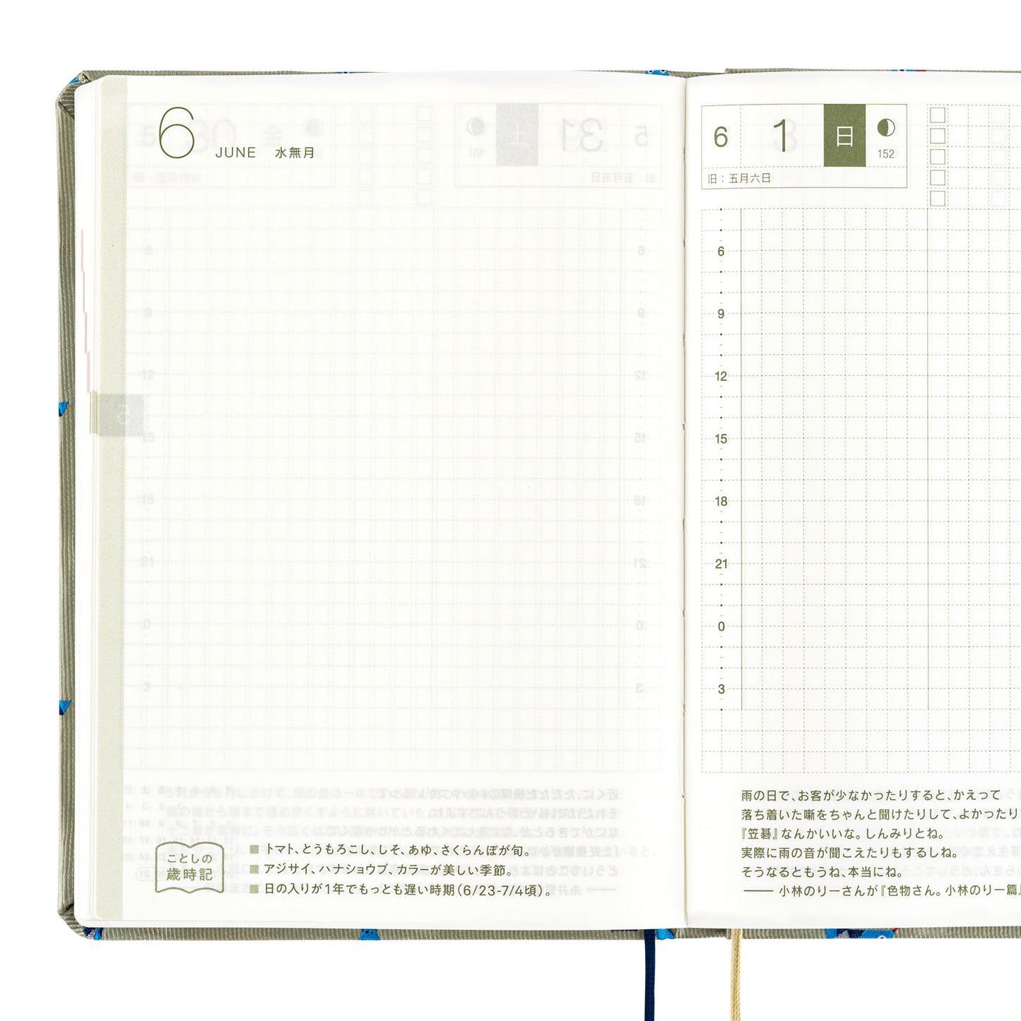 Bow & Tie: Snake Toy · 2025 English Hobonichi Techo A6 HON