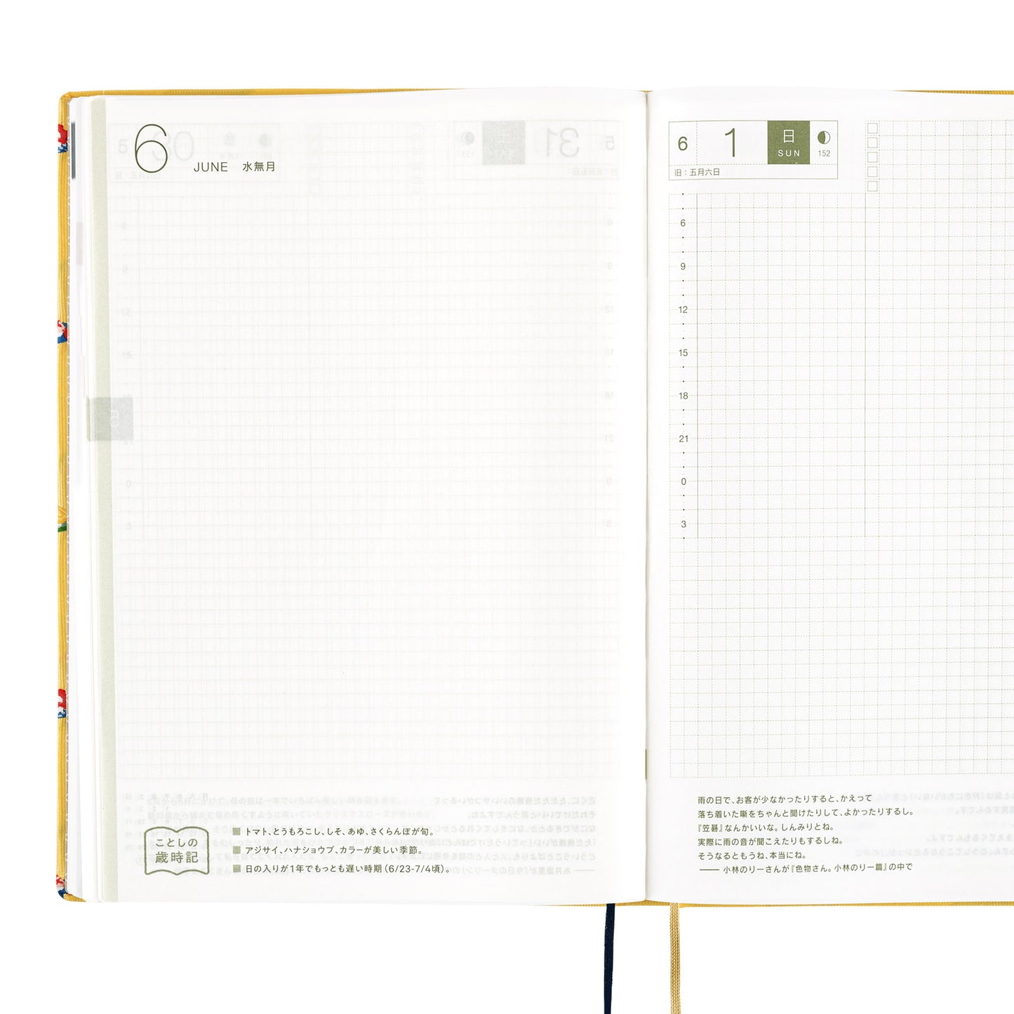 Bow & Tie: Sushi · 2025 English Hobonichi Techo A5 HON