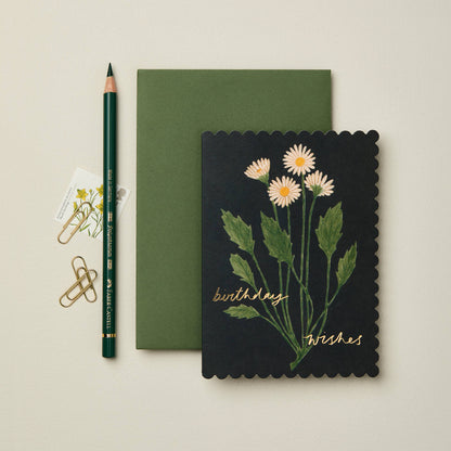 Botanical Daisy 'Birthday Wishes' Card · Wanderlust Paper Co