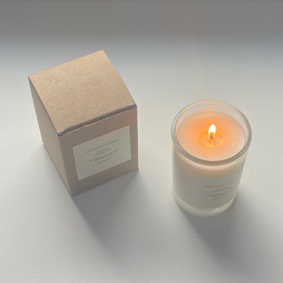 Santal, Cardamom + Amber Handcrafted Scented Soy Candle · Species by the Thousands