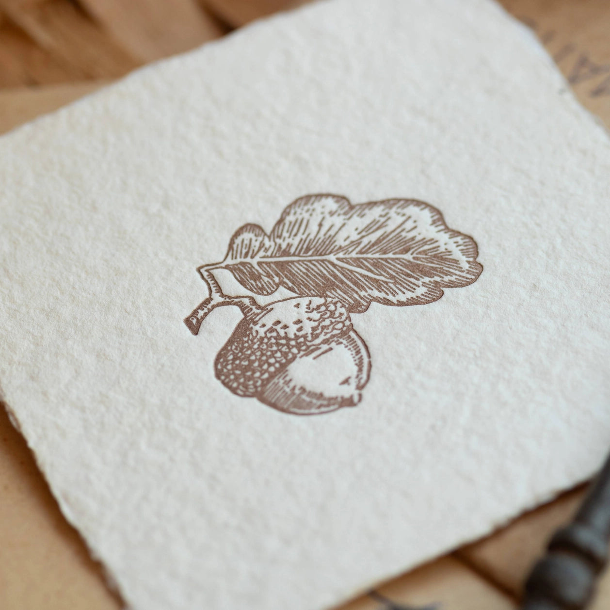 Acorn Handmade Paper Letterpress · Oblation Papers & Press