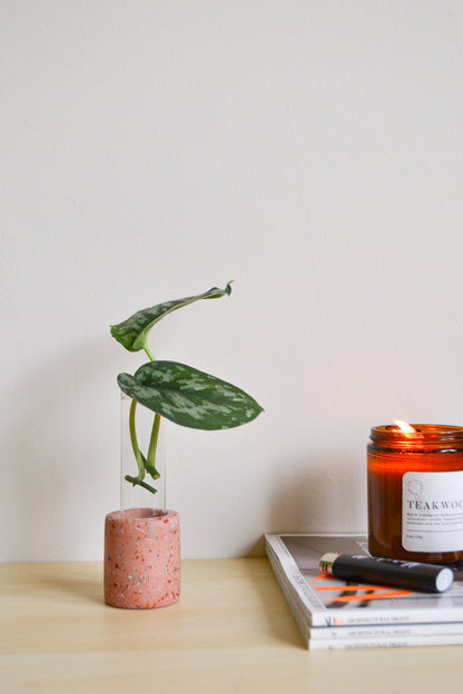 Zero Waste Terrazzo Single Propagation Test Tube Plant Stand: Peach