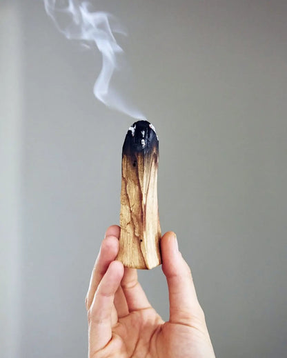 Palo Santo Sticks - Single Sticks