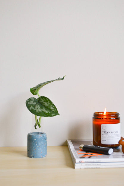 Zero Waste Terrazzo Single Propagation Test Tube Plant Stand: Charcoal