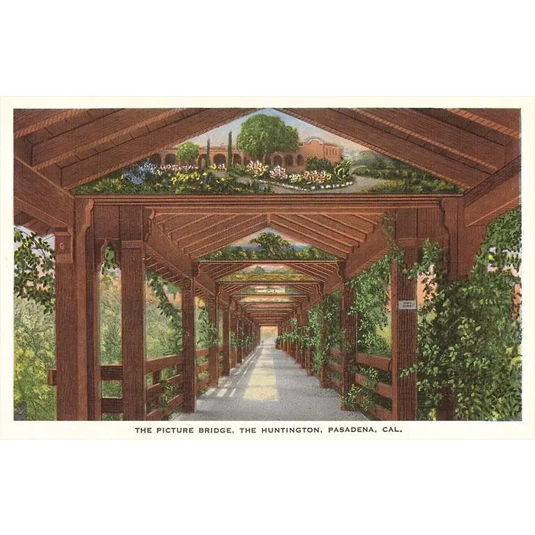 Huntington Library Grounds · Vintage Image Postcard