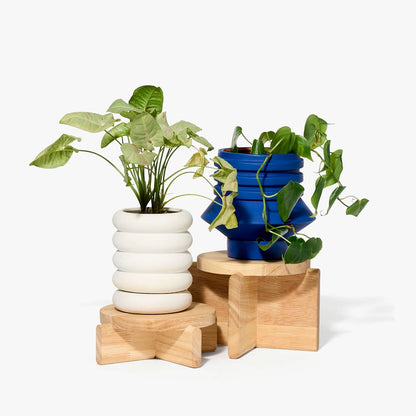 Pedestal Set / Natural · Areaware