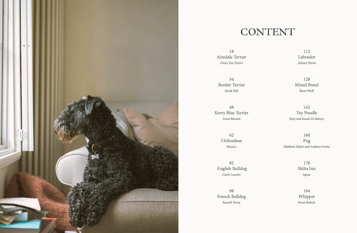 Dog: Stories of Dog Ownership by Julian Victoria