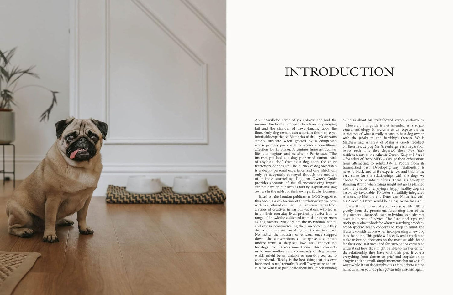 Dog: Stories of Dog Ownership by Julian Victoria