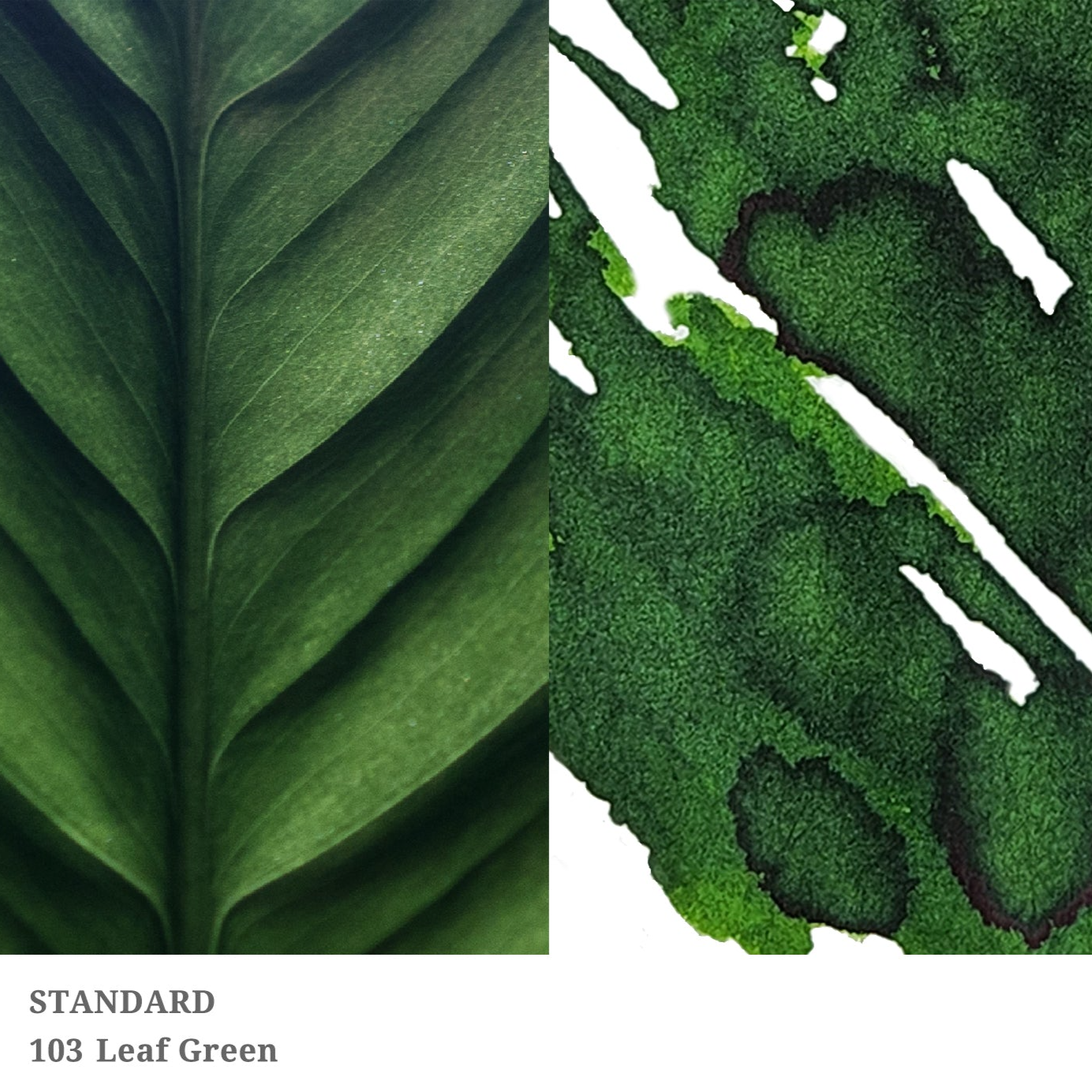Forest No.105 Standard Ink · Dominant Industry