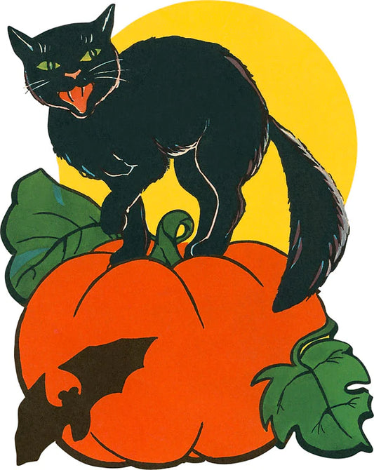 Black Cat with Pumpkin / Vintage Image Postcard
