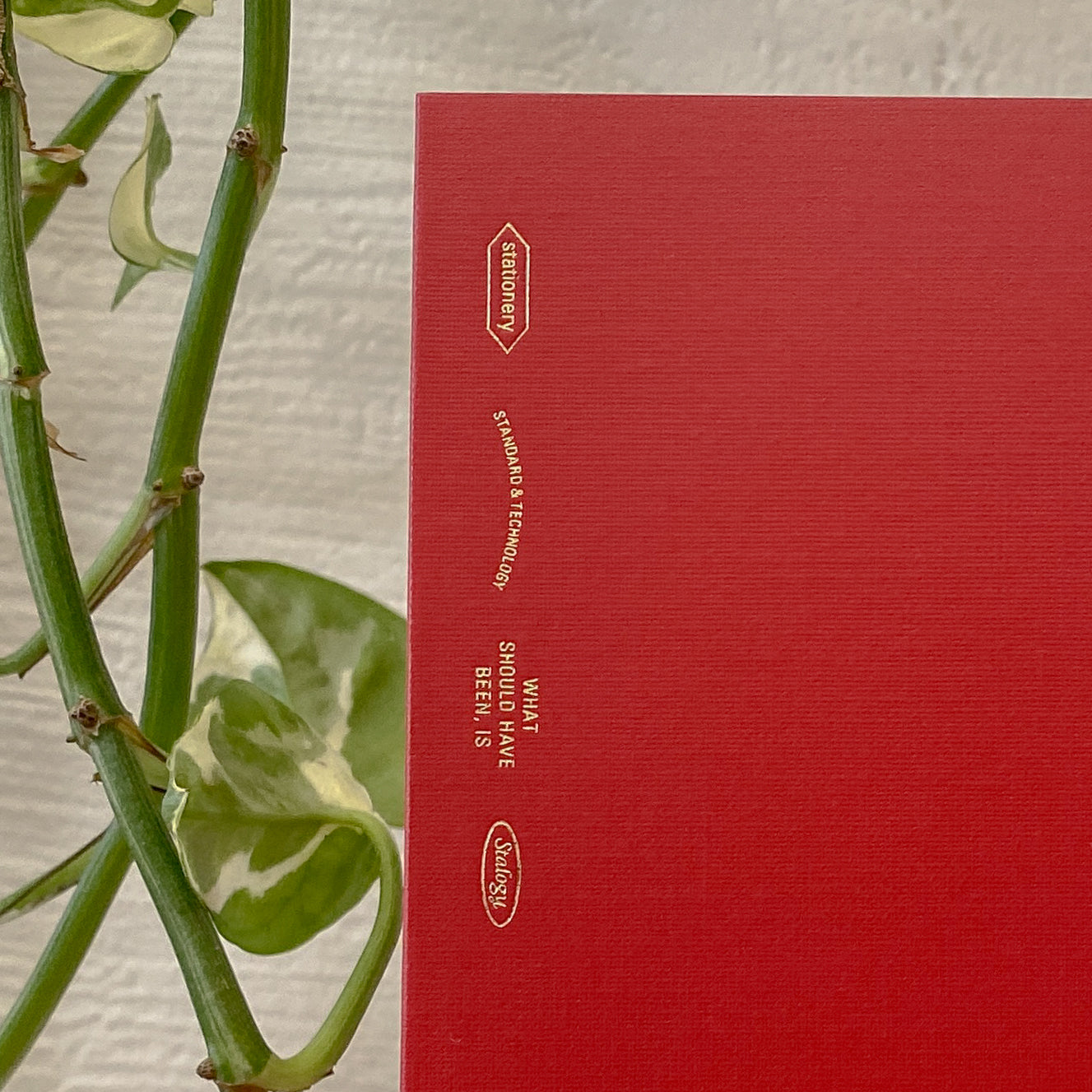 Bungu Vincent A6 Red Stalogy 365 Days Notebook · Stalogy x Paper Plant Co