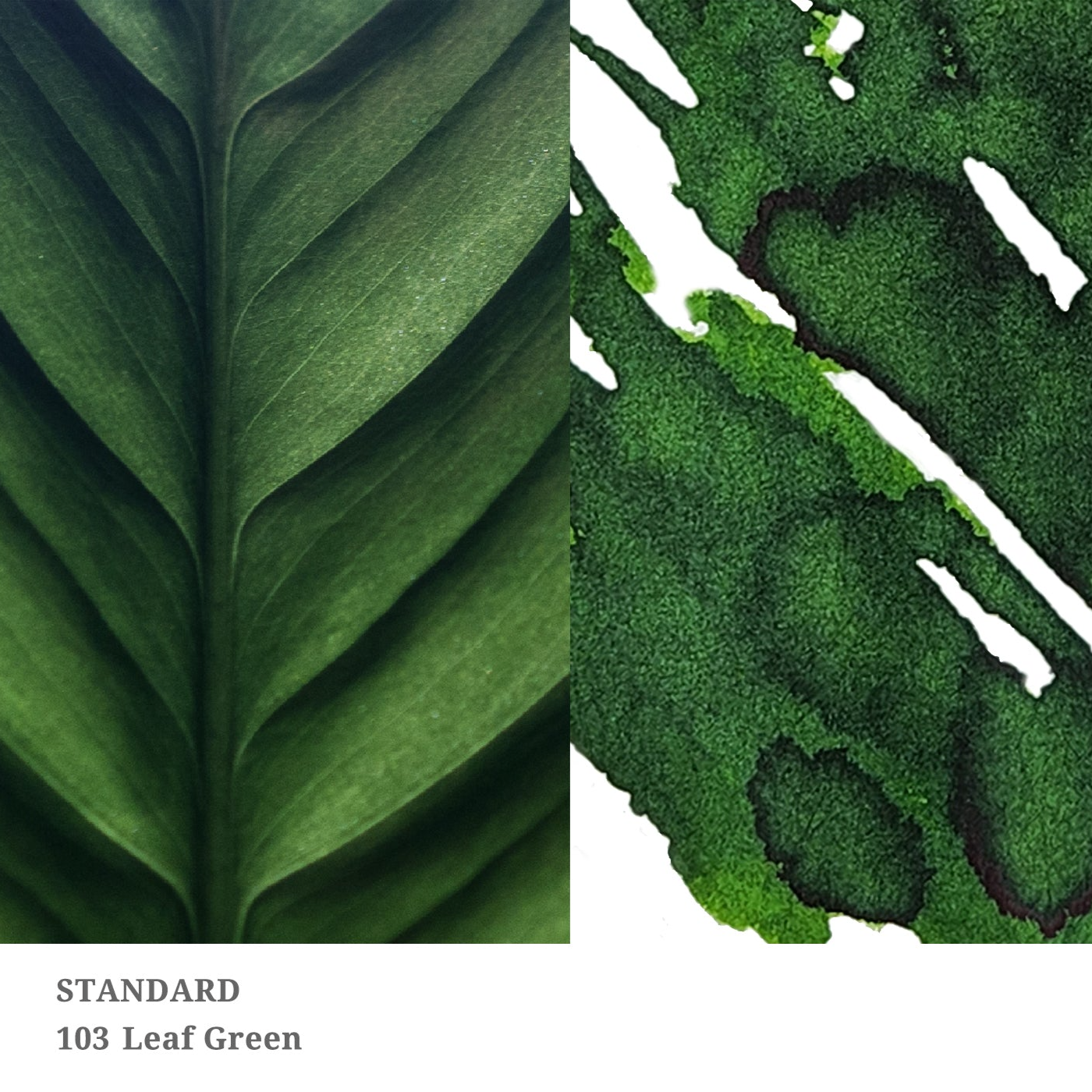 Leaf Green No.103 Standard Ink · Dominant Industry