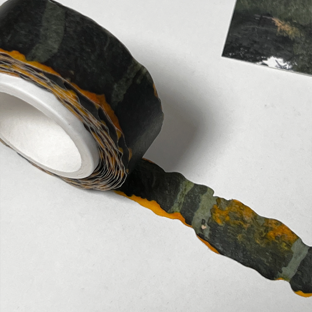 Kabocha Squash Peel Masking Tape · zagne