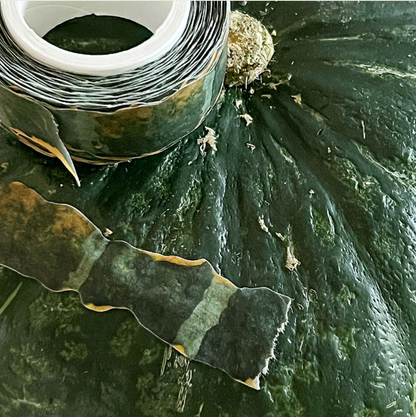 Kabocha Squash Peel Masking Tape · zagne