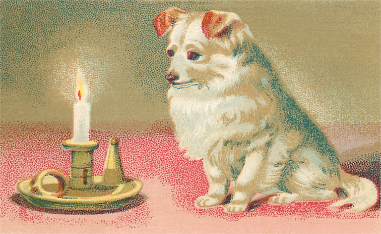 Victorian Puppy Watching Candle · Vintage Image Postcard