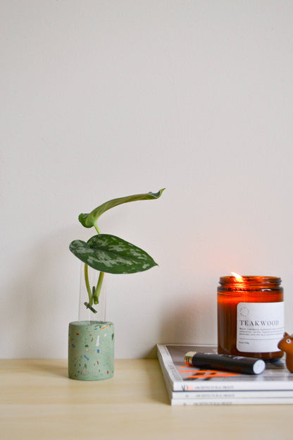 Zero Waste Terrazzo Single Propagation Test Tube Plant Stand: Peach