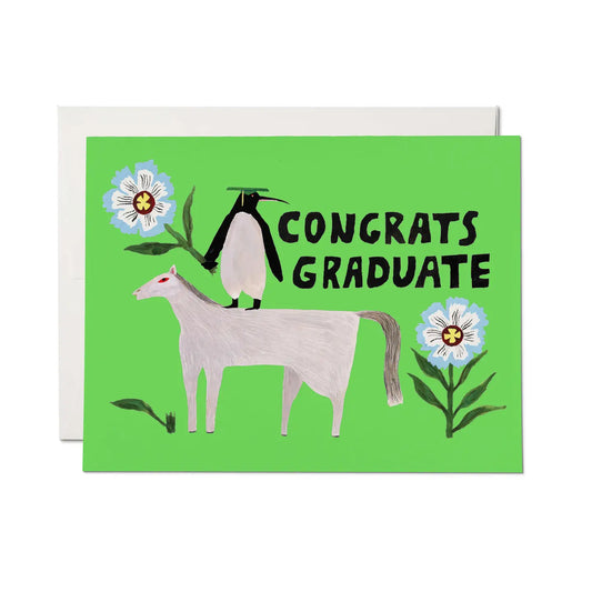 Penguin Pomp Graduate Greeting Card·  Red Cap Cards