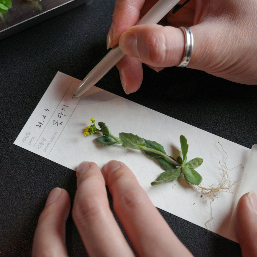 Cosmos · OIMU Plant Collecting Bookmark