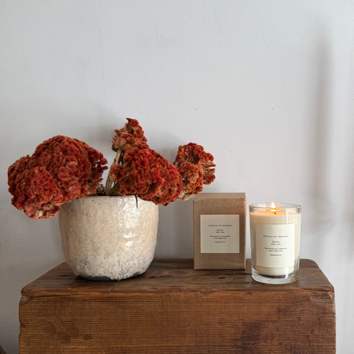Red Clay, Amber + Musk Handcrafted Soy Candle · Species by the Thousands