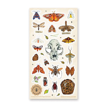 Nature Study Sticker Sheet · STICKII