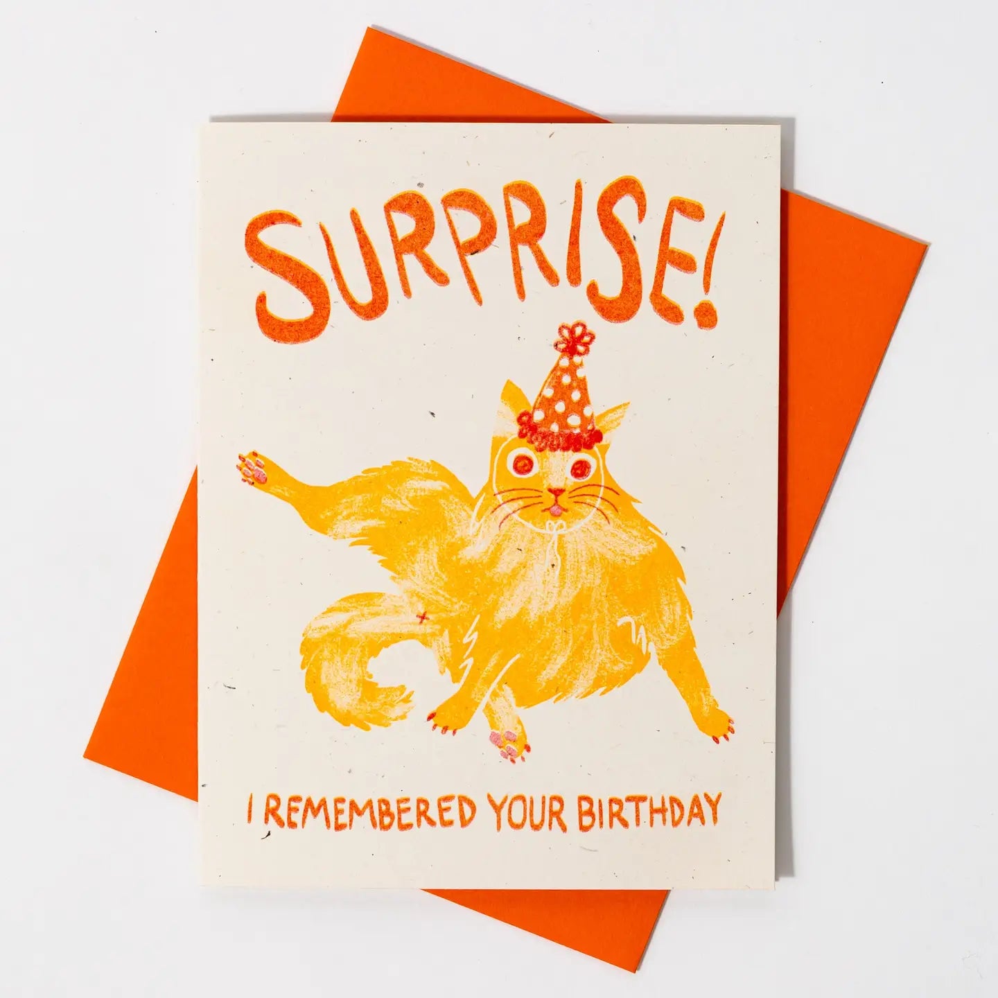 Surprise! I Remembered Your Birthday Cat Risograph Card · Bromstad Printing Co.