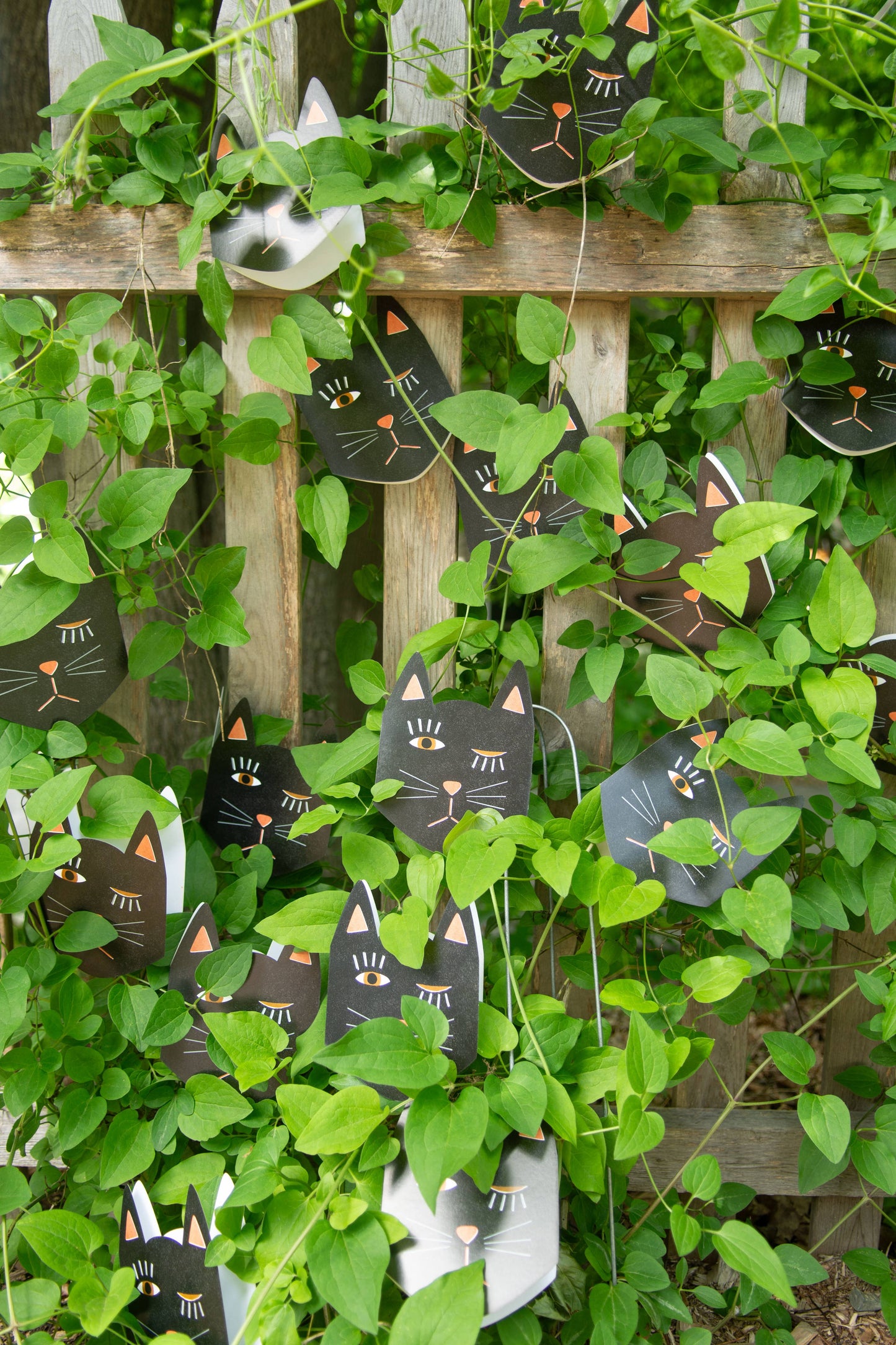 Black Cat Blink Die Cut Card · Isatopia