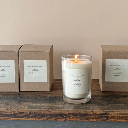 Red Clay, Amber + Musk Handcrafted Soy Candle · Species by the Thousands