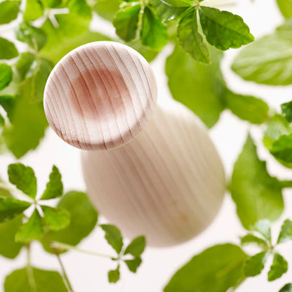 Wood Diffuser 'Hinoco' · At-Aroma