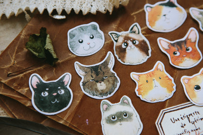 Cats Party Flake Sticker Pack  · OURS Studio