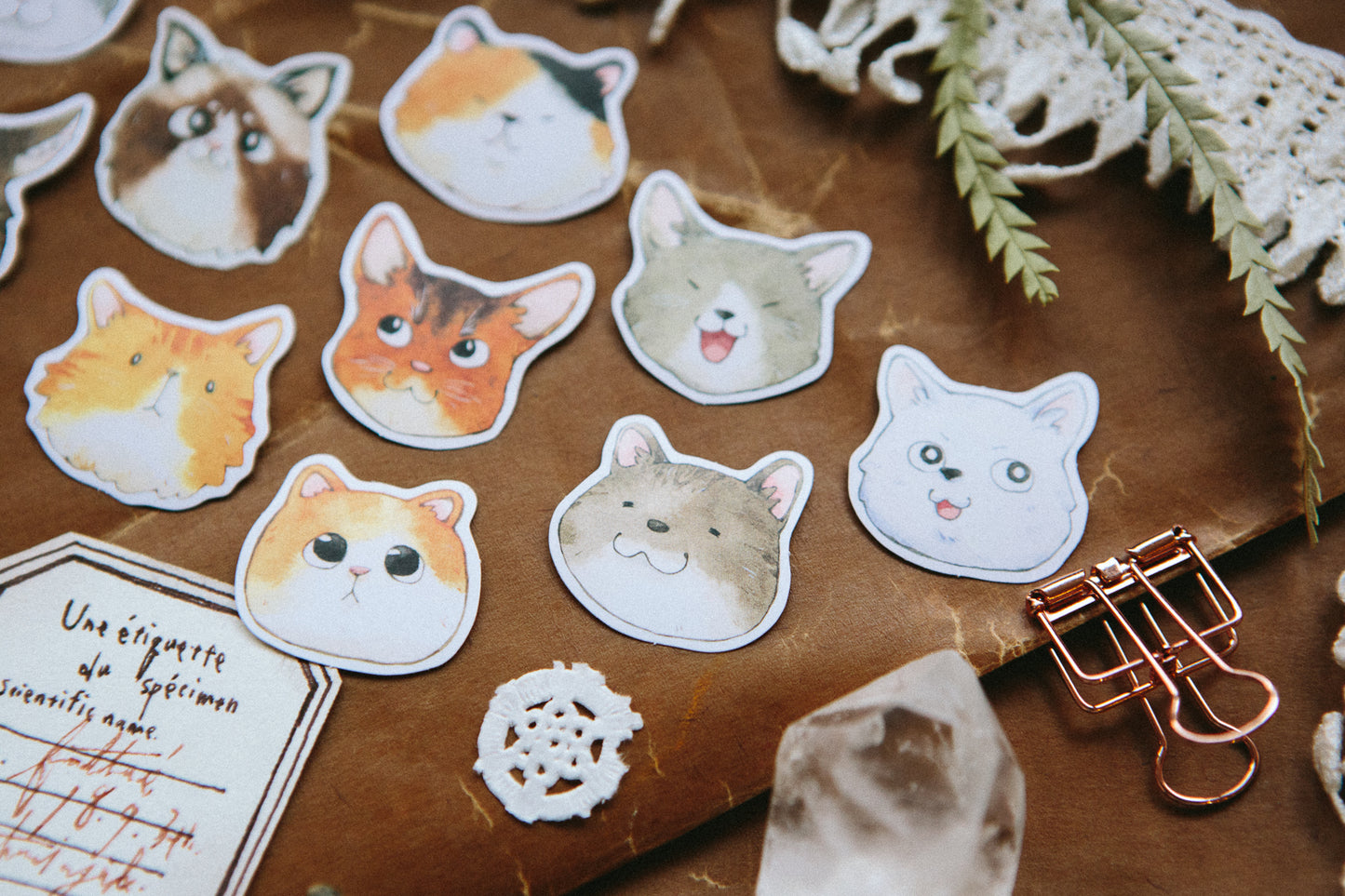 Cats Party Flake Sticker Pack  · OURS Studio