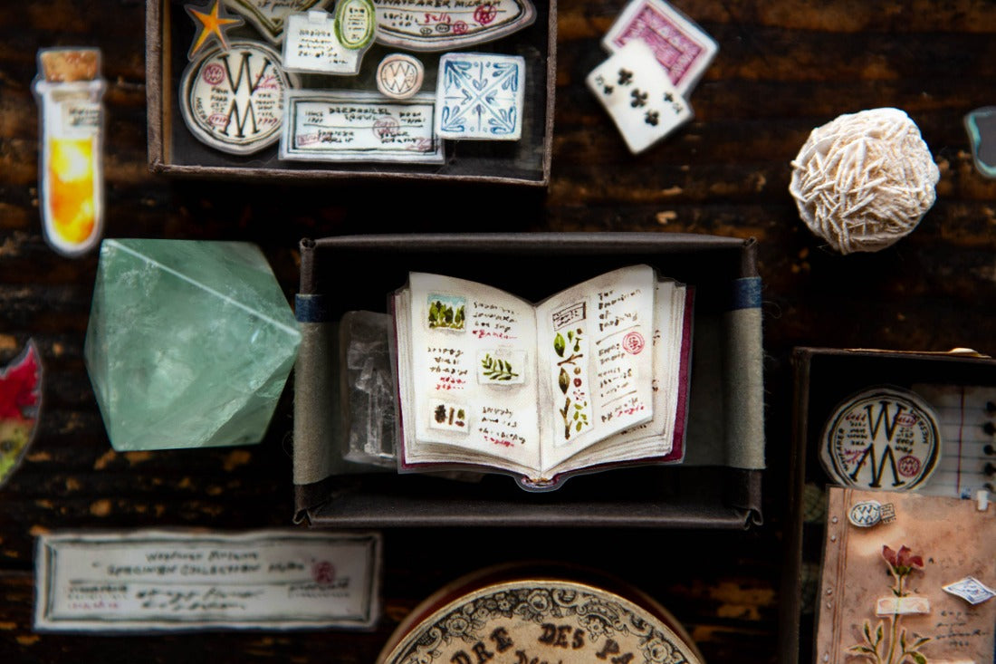 Desk of Botanist PET Tape · OURS Studio