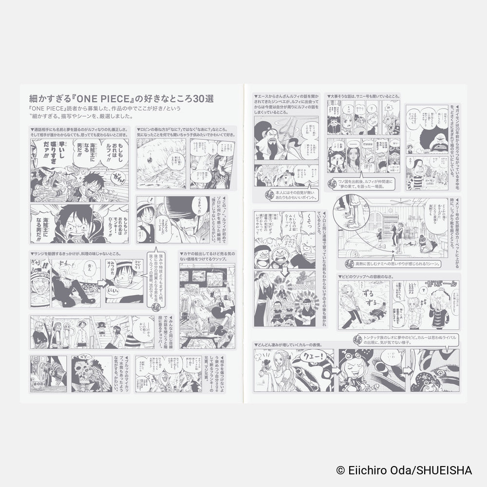 2027 Hobonichi Techo Japanese Original Book - One Piece Edition《A6 size/Daily/Jan start/Mon start》