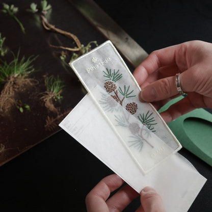 Pine Tree · OIMU Plant Collecting Bookmark