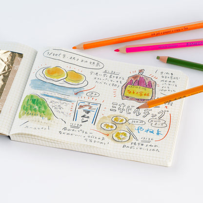 Akiko Miyakoshi Landscape Notebook (I Dream of a Journey) · Hobonichi