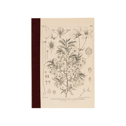 Hobonichi Yamazakura Graph Notebook