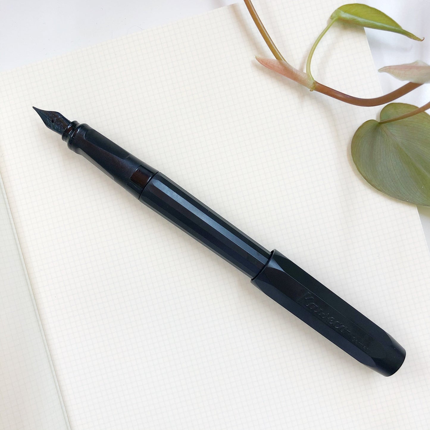 Perkeo Fountain Pen / Black · Kaweco