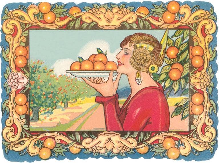 Plate of Oranges Vintage Postcard