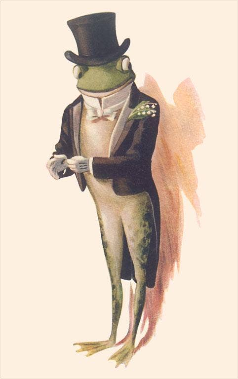 Gentleman Frog Vintage Postcard